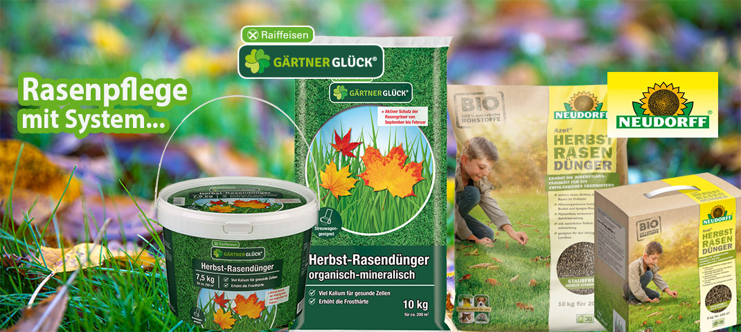 Herbstrasenduenger